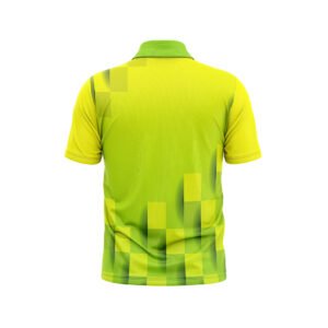 Branded Cricket Jersey Cricket Tournament Sports T-shirt for Men Green and Yellow Color